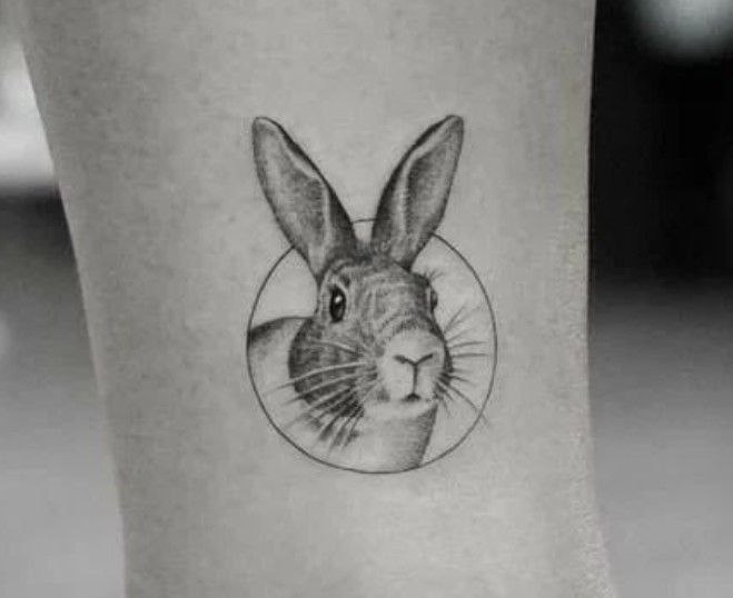 Tattoo of a hare (rabbit) on the leg for men