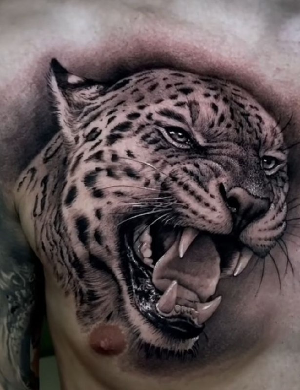 Leopard tattoo on the chest for men