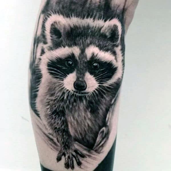 Raccoon tattoo on the shin for men