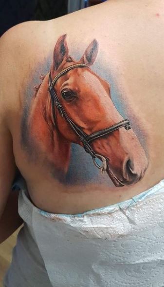 Horse tattoo on the shoulder blade for women