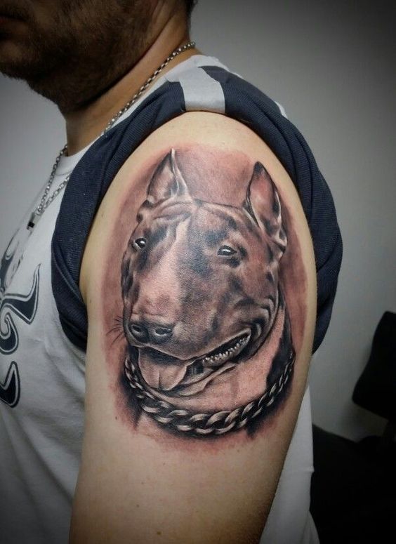 Bull Terrier tattoo on the shoulder for men