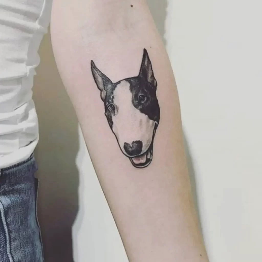 Bull Terrier tattoo on forearm for women