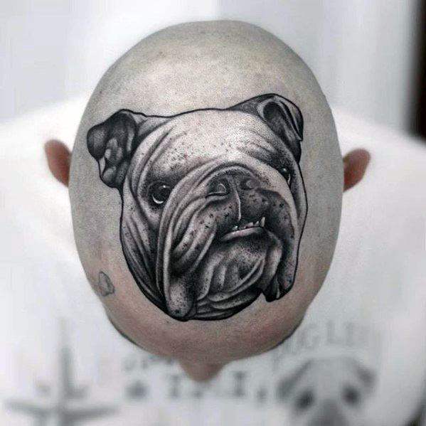 Bulldog tattoo on the head for men