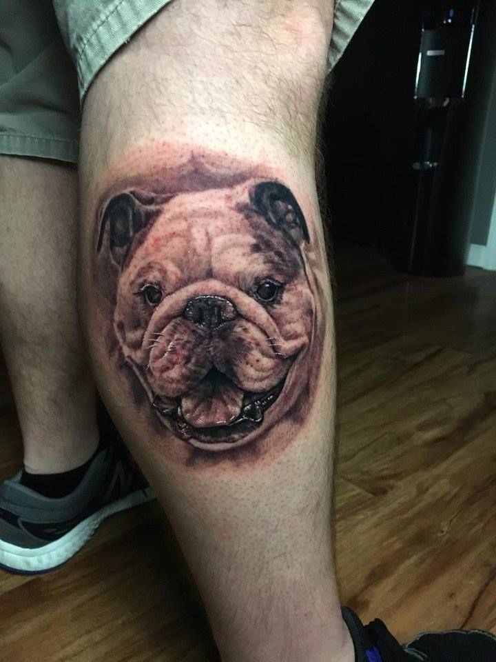 Bulldog tattoo on the shin for men