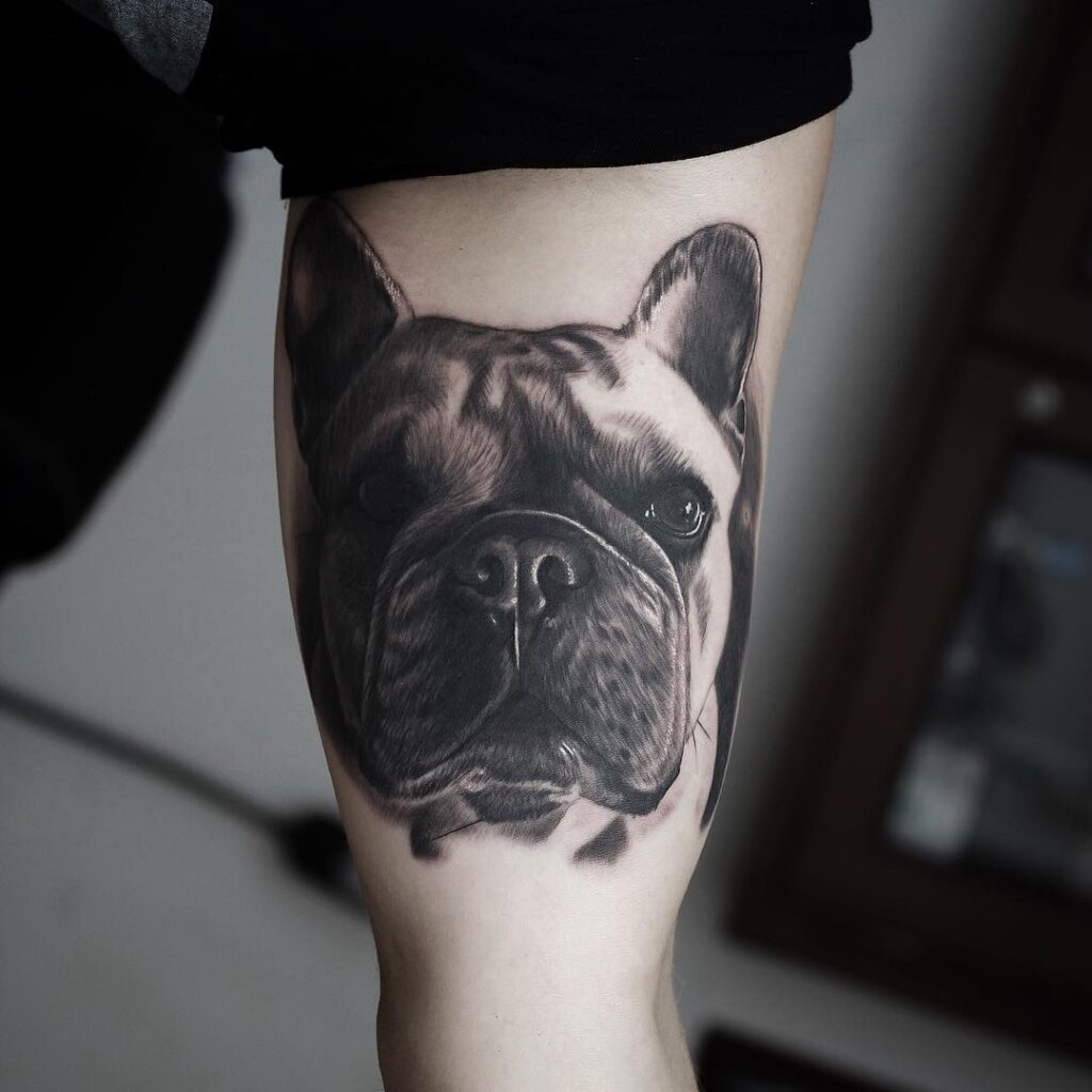 Bulldog tattoo on the biceps for men