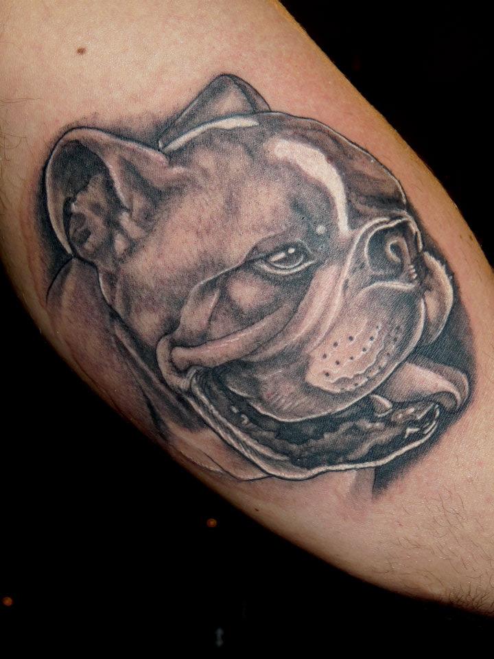 Bulldog tattoo on calf for men