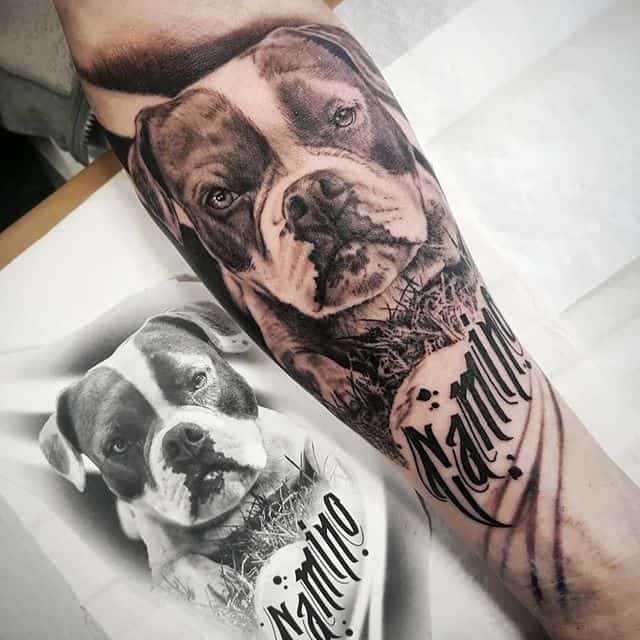 Bulldog tattoo on the shoulder for men