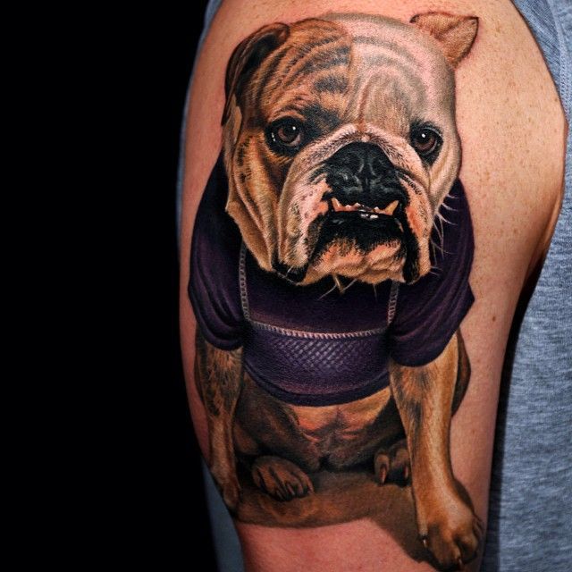 Bulldog tattoo on the shoulder for men