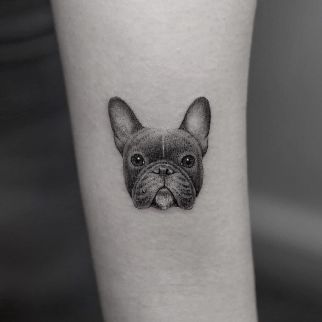 Bulldog tattoo on the shoulder for women