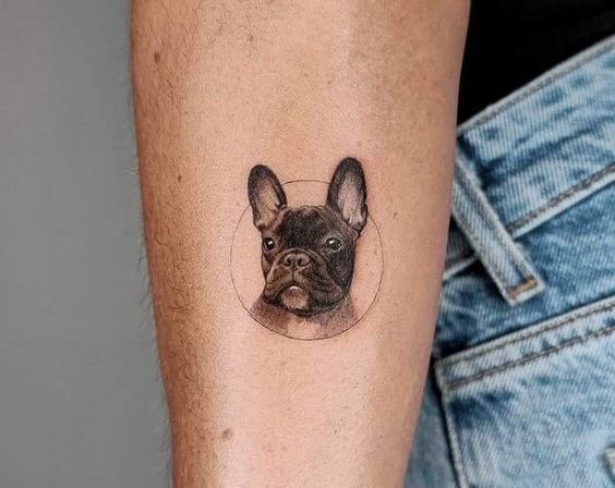 Bulldog tattoo on the arm for women