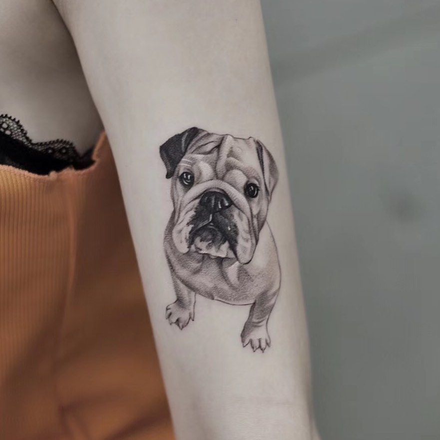 Bulldog tattoo on the shoulder for women