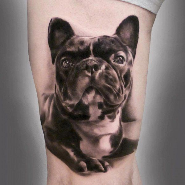 Bulldog tattoo on the hip for men