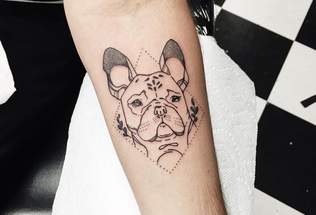 Bulldog tattoo on forearm for men