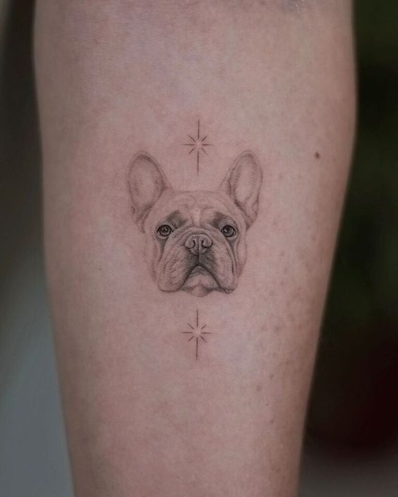 Bulldog tattoo on forearm for men