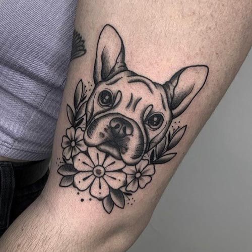 Bulldog tattoo on the shoulder