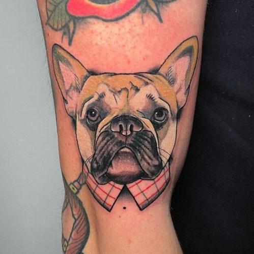 Bulldog tattoo on the shoulder for men