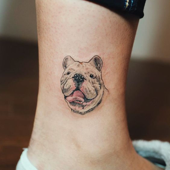 Bulldog tattoo on the ankle for men