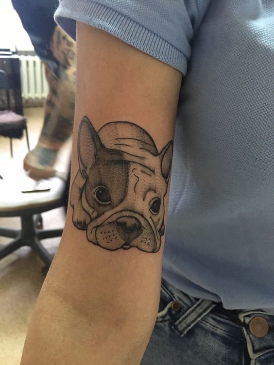 Bulldog tattoo on the shoulder for women