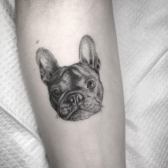 Bulldog tattoo on the arm for men