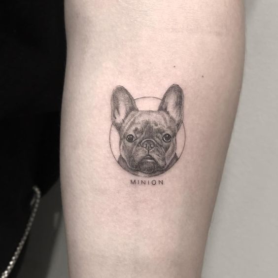 Bulldog tattoo on forearm for men