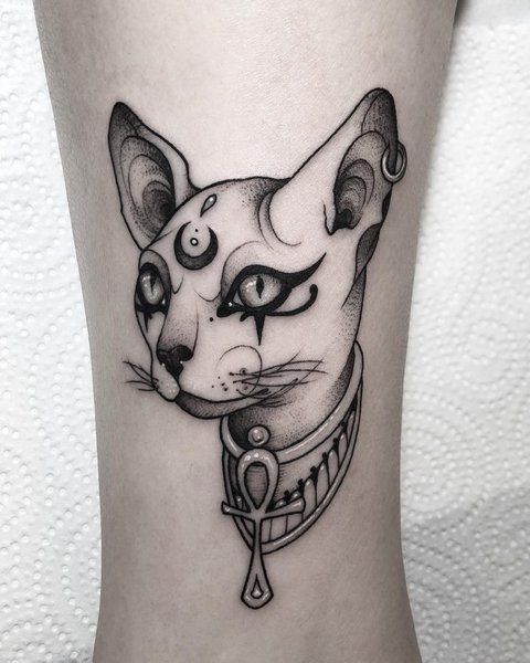 Cat tattoo on the shin for women