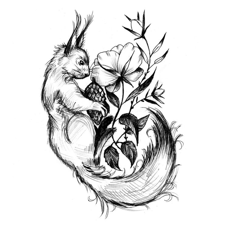 Sketch of a squirrel tattoo