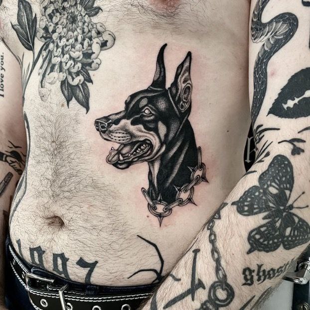 Tattoo of a doberman on the stomach for men