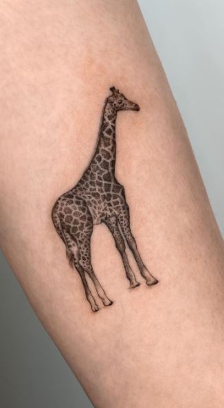 Tattoo of a giraffe on a leg for women