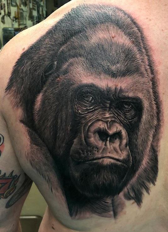 Gorilla tattoo on the shoulder blade for men