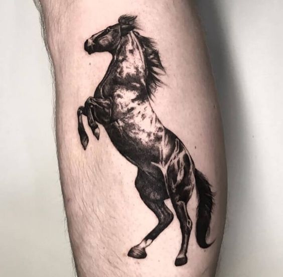 Horse tattoo on the shin for men