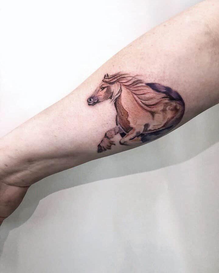 Horse tattoo on the forearm for men