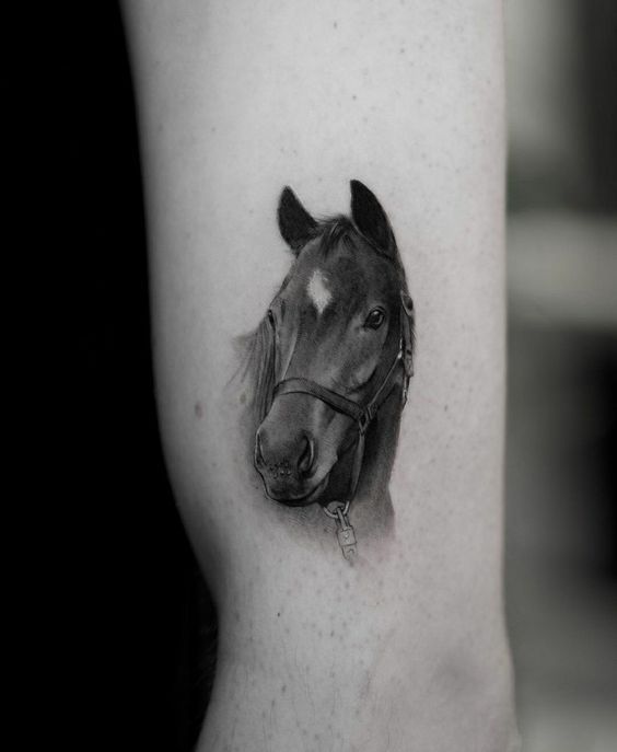 Tattoo of a horse on the shoulder for men