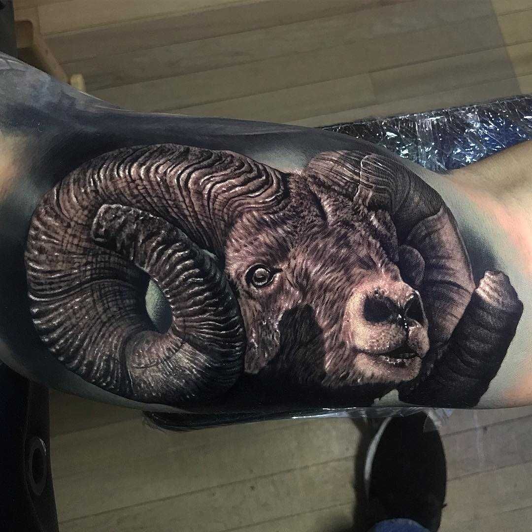 Tattoo of a ram on the shoulder for men