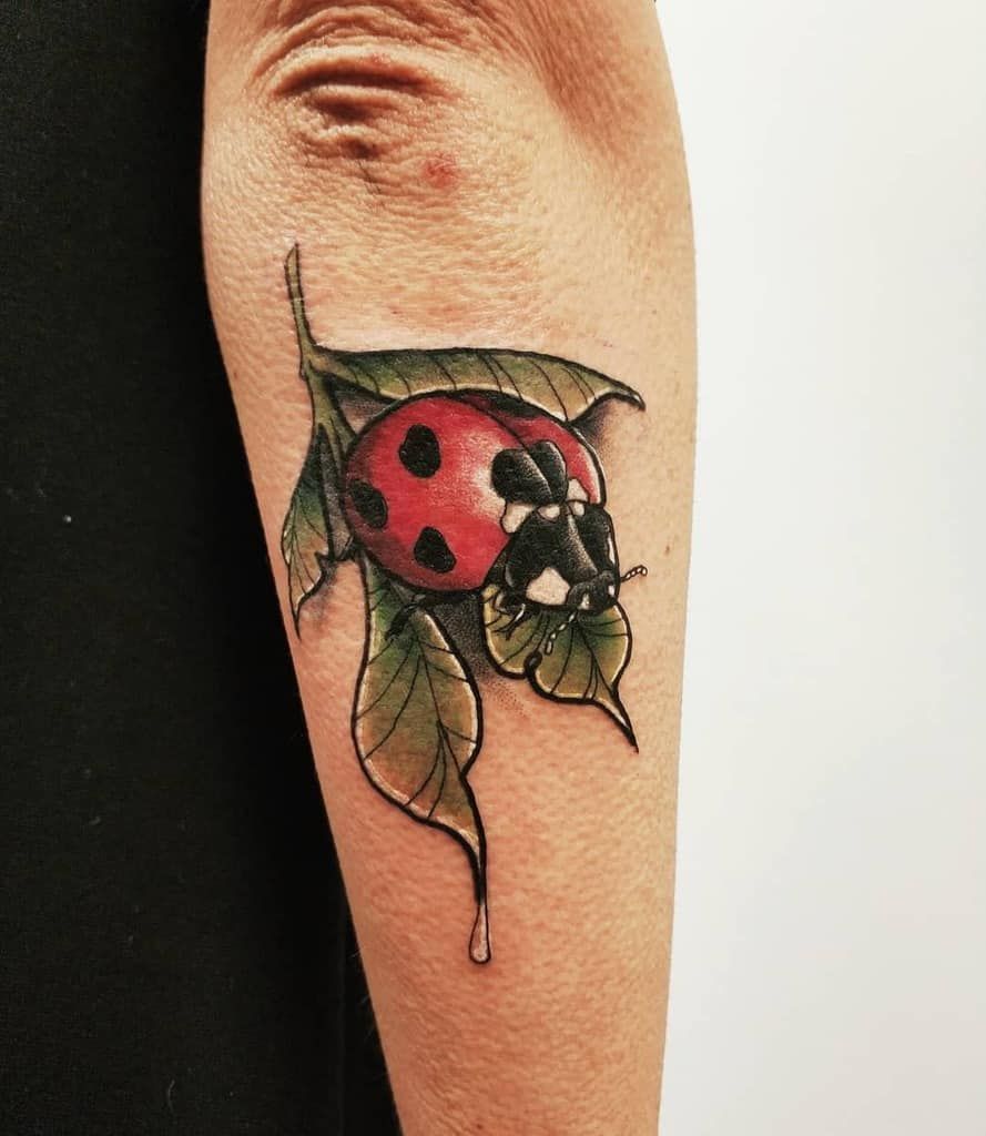 Ladybug tattoo on the arm for women