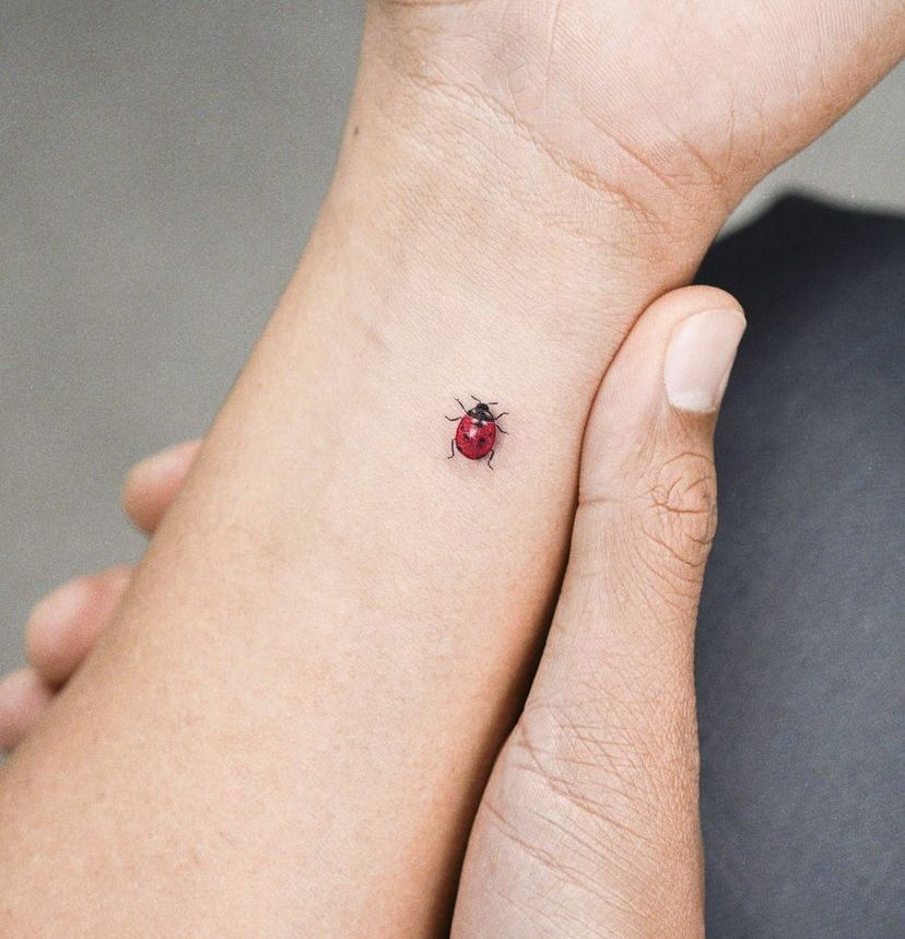 Ladybug tattoo on the arm for men