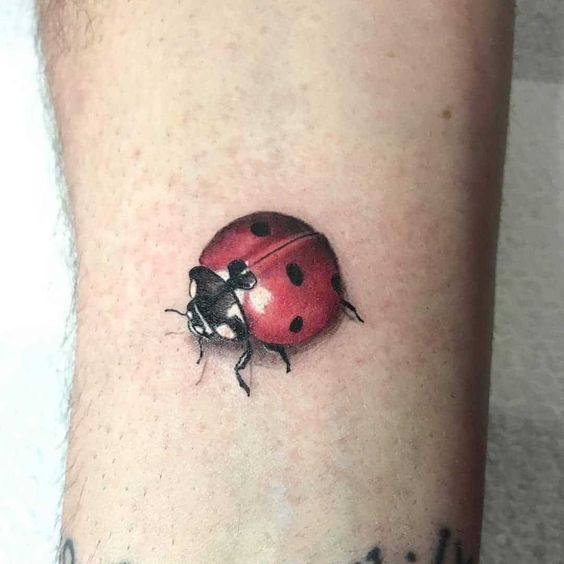 Ladybug tattoo on the arm for men