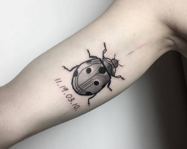 Ladybug tattoo on the shoulder for men