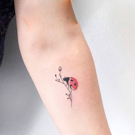 Ladybug tattoo on forearm for women