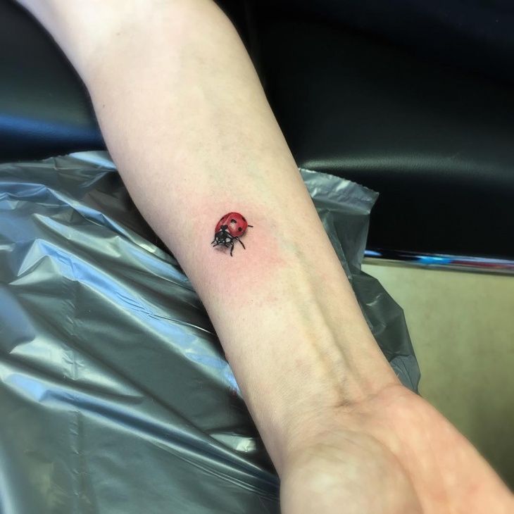 Ladybug tattoo on the arm for men