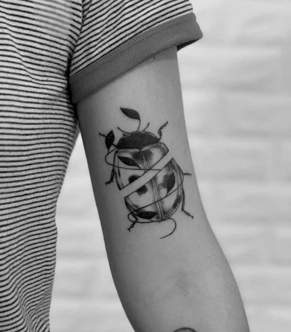 Ladybug tattoo on the shoulder for women