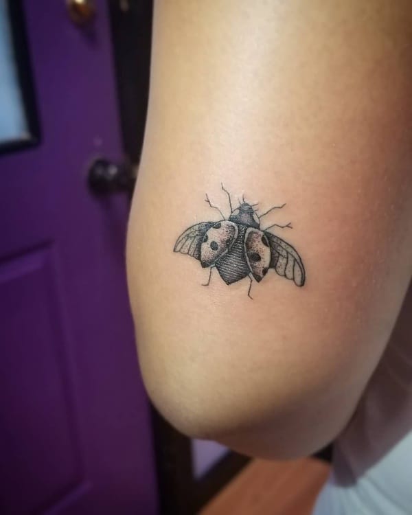 Ladybug tattoo on the shoulder for women