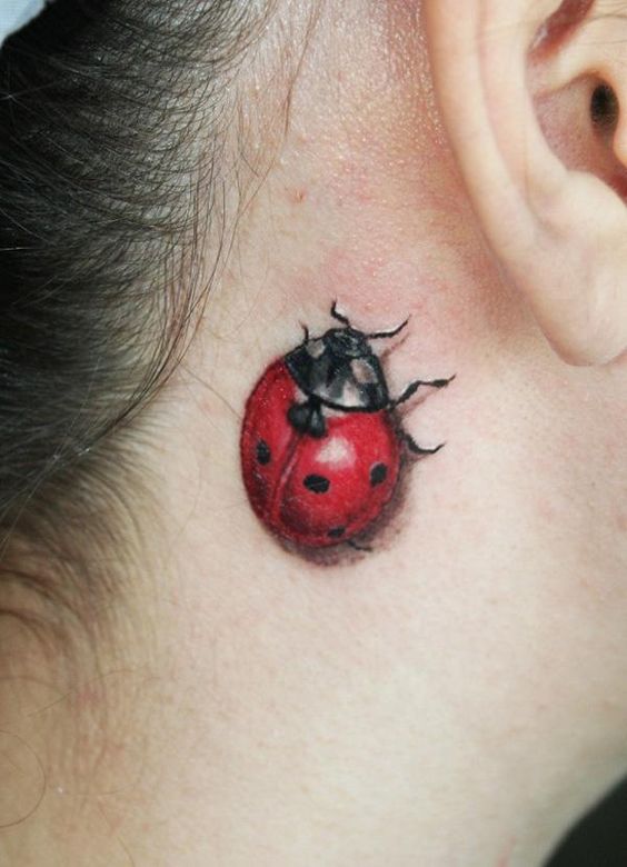 Ladybug tattoo for women: how to choose the design and place on the body?