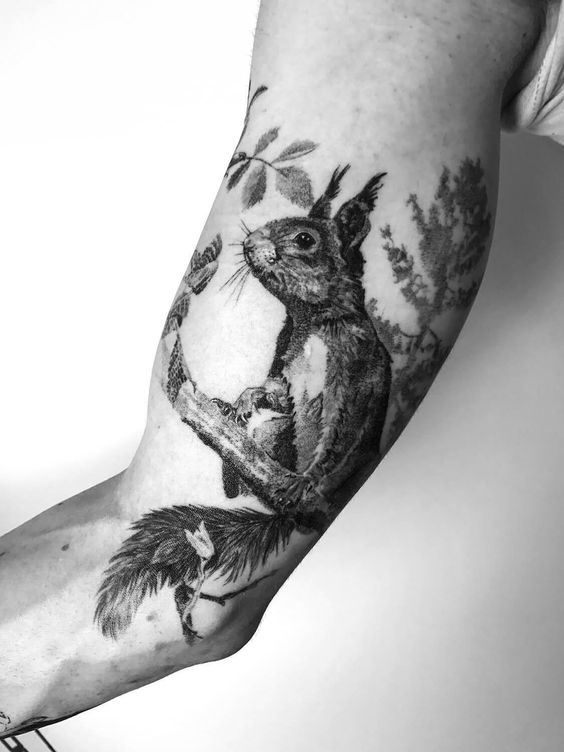 Squirrel tattoo on the biceps for men