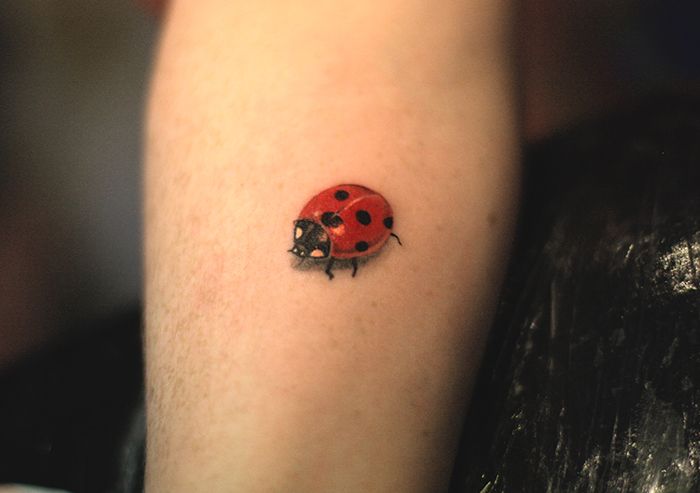 Ladybug tattoo on forearm for men