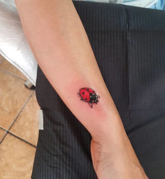 Ladybug tattoo on the arm for women