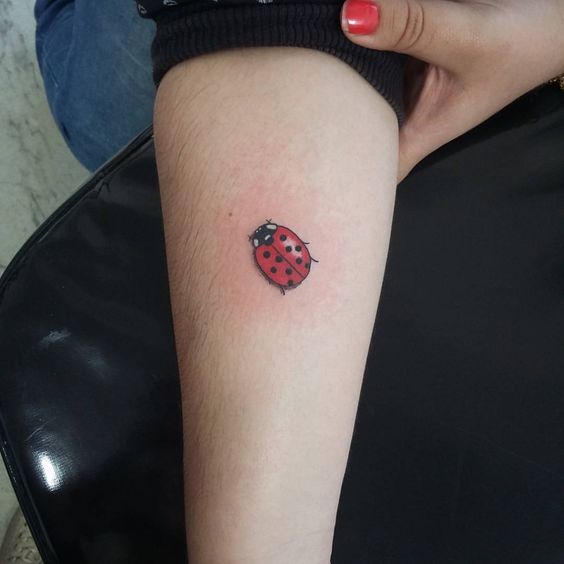 Ladybug tattoo on forearm for men