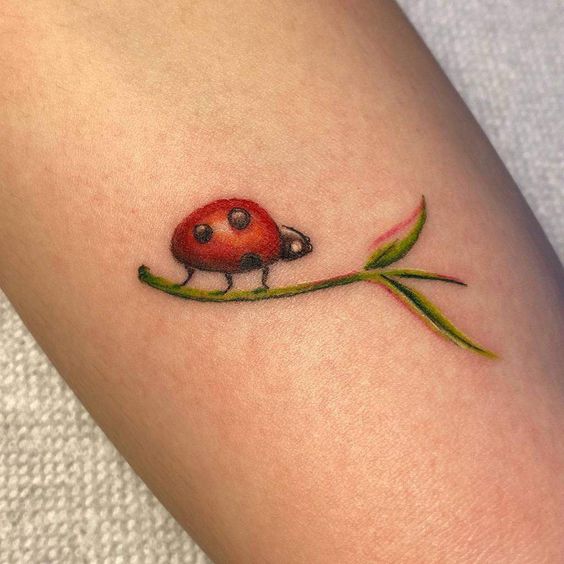 Ladybug tattoo on the leg