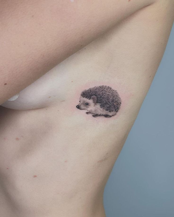 Tattoo of a hedgehog on the side for women