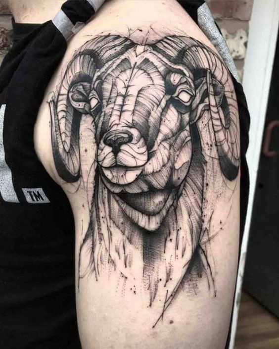 Tattoo of a ram on the shoulder for men