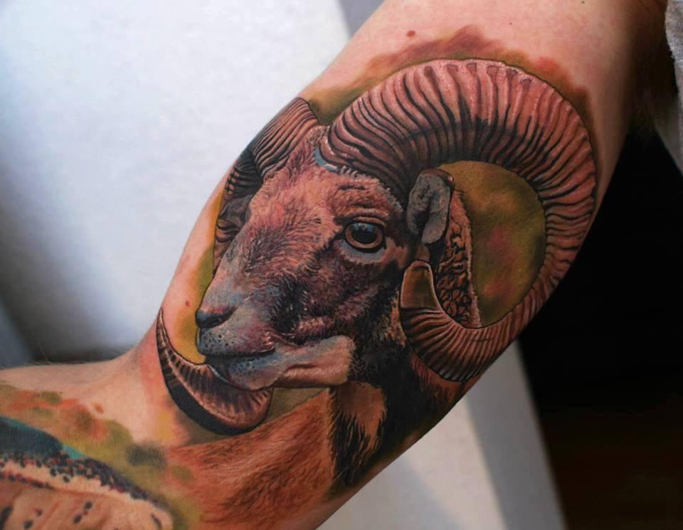 Tattoo of a ram on the shoulder for men